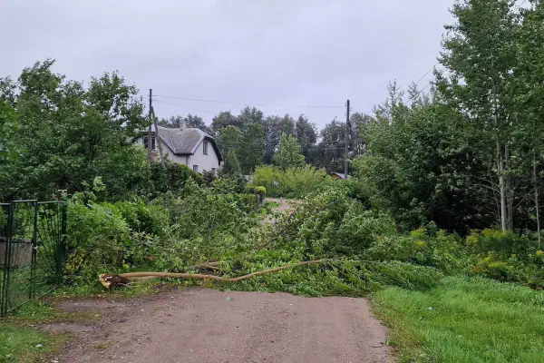 Aicinām brīvprātīgos sniegt atbalstu vētras seku likvidēšanā